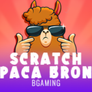 Scratch Alpaca Bronze