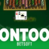 Pontoon 21