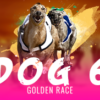 Dog 6