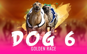 Dog 6