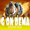 Dog – On Demand