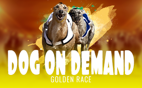Dog – On Demand