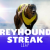 Greyhound Streak