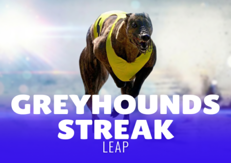 Greyhound Streak