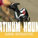 Platinum Hounds